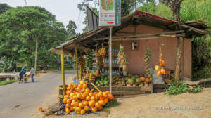 Butikken med kokosnødder og ananas i Ella, ligger lige ved Waterfall Road, vejen der fører op til udsigtspunktet over Ella Gap