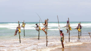Pælefiskere på Sri Lanka's sydkyst (Nå ja, og så måske en enkelt turist)