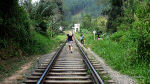 Seværdigheder i Ella Sri Lanka