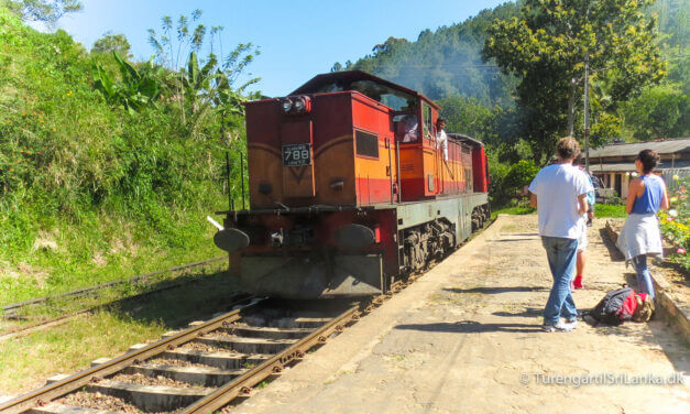 Tog i Sri Lanka