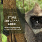Turen går til Sri Lanka flytter..
