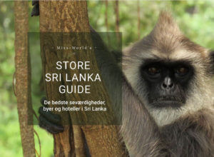 Ny stor Sri Lanka Guide på rejsebloggen Miss-World.dk