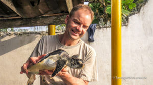 Telwatta Turtle Hatchery